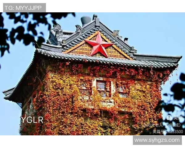 南京乒乓球队奋斗历程的真实记录与辉煌成就分享